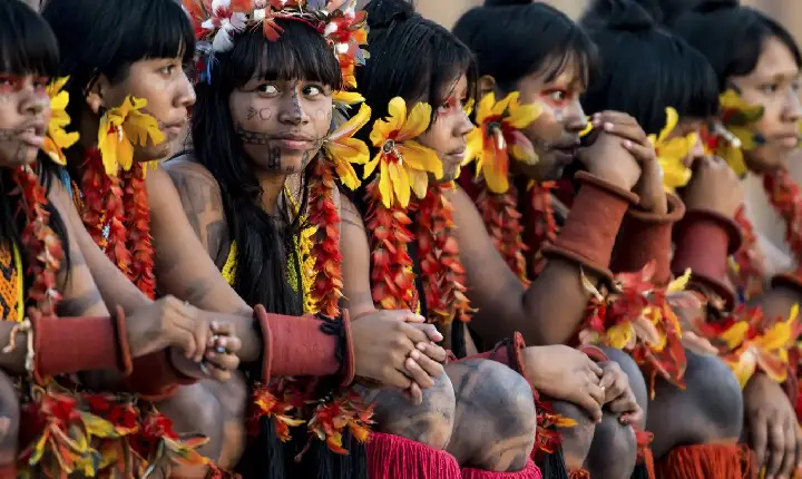 Programa de saúde do governo já atendeu mais de 24 mil indígenas 