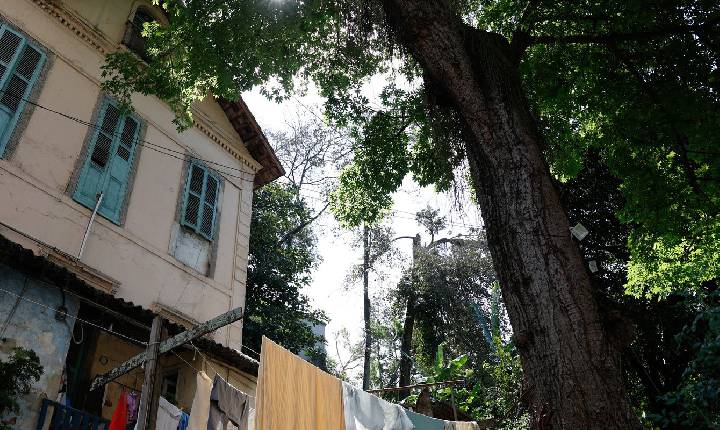 Quilombo urbano na zona sul do Rio guarda lições de resistência